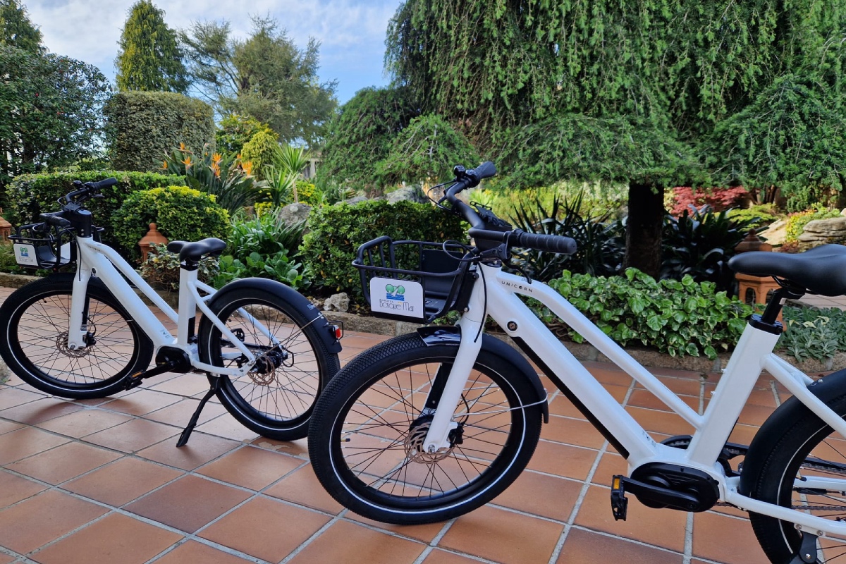 alquilar bici electrica-2 alquiler de bici eléctrica o grove
