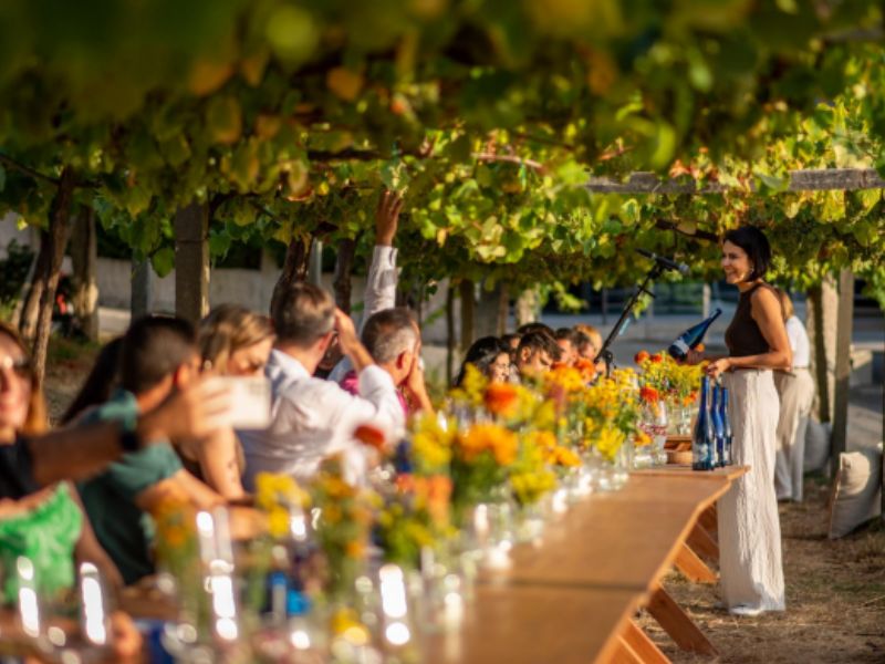 experiencias hotel spa o grove bosque mar rias baixas